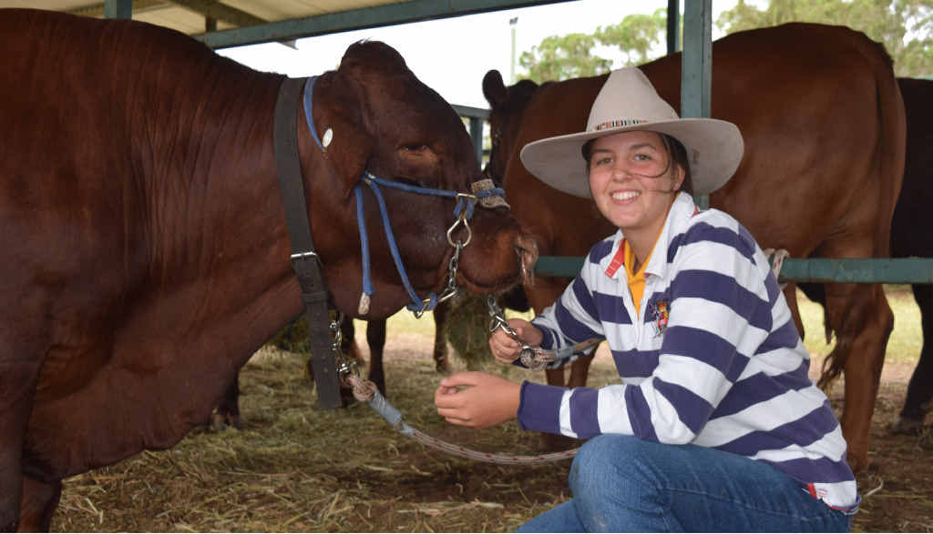 BELOVED BREED: Mia Doering was born into the world of santa gertrudis, with her family running a commercial stud – Spring Creek – at Moree. BELOVED BREED: Mia Doering was born into the world of santa gertrudis, with her family running a commercial stud – Spring Creek – at Moree.